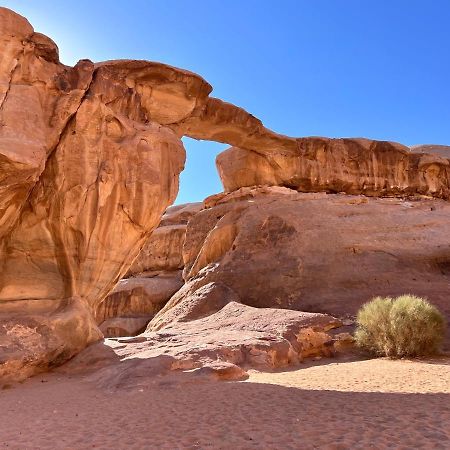 Wadi Rum Tents Экстерьер фото